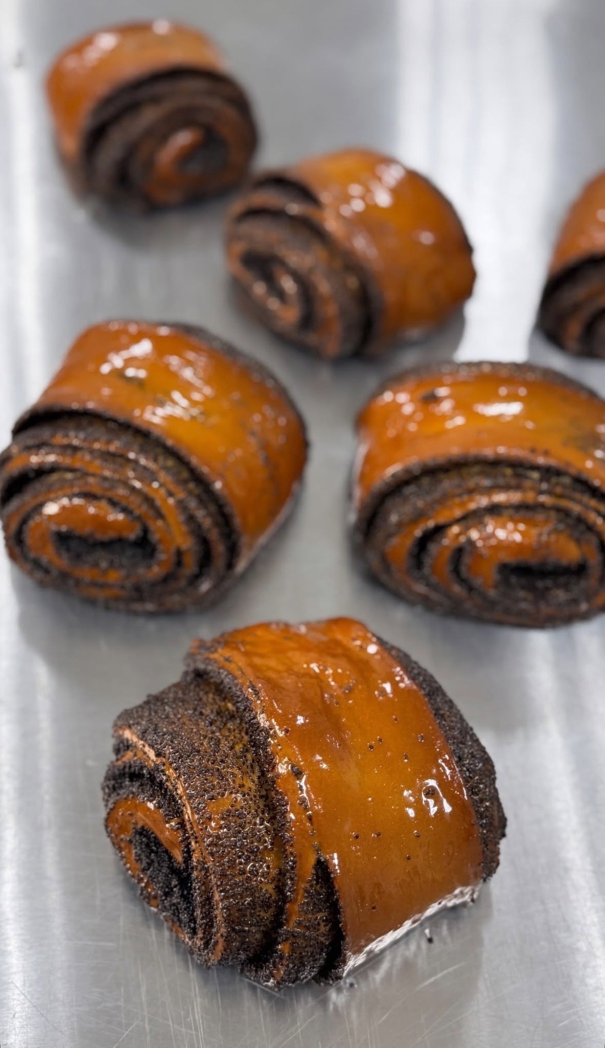 Poppy Seed Buns