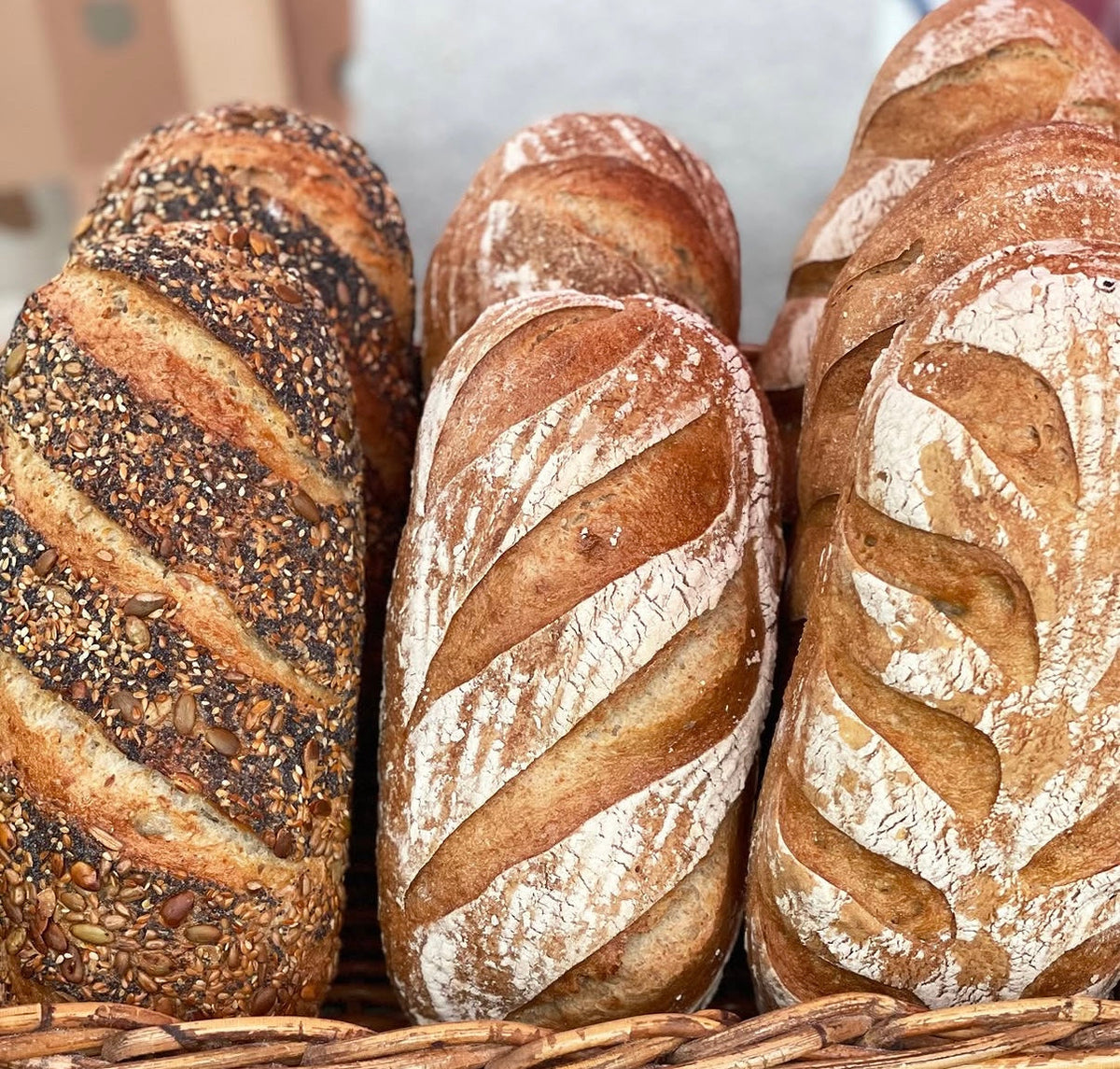 Bread
