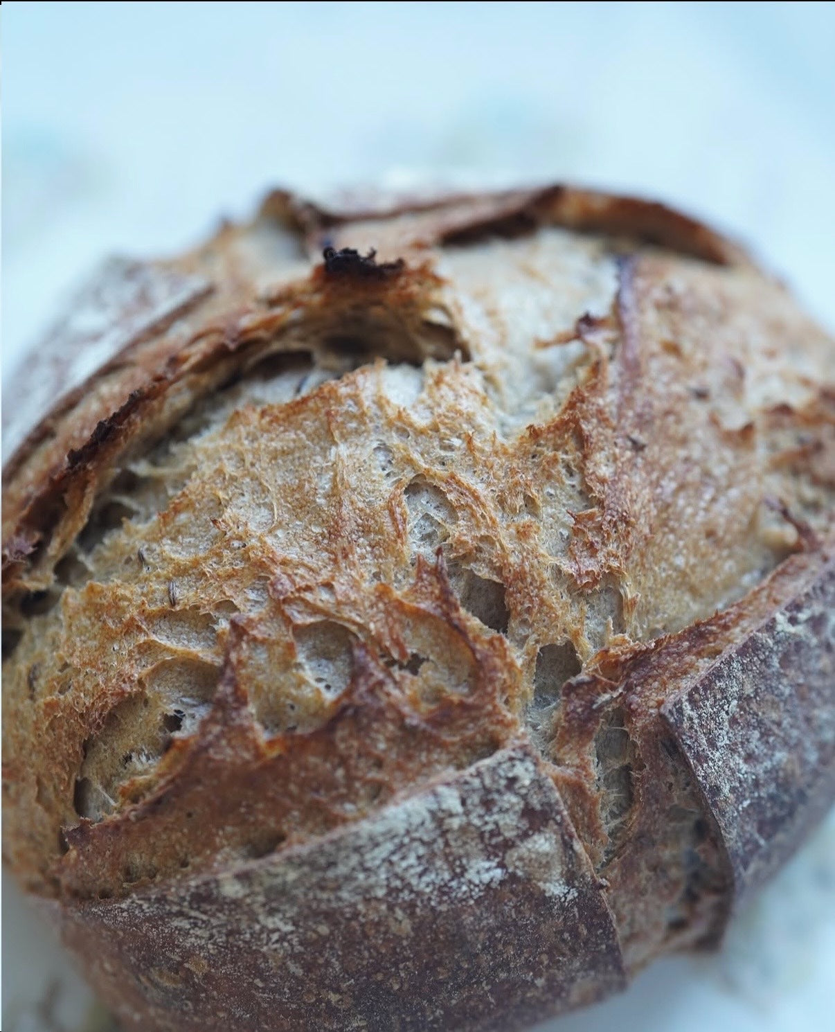 Сaraway Bread