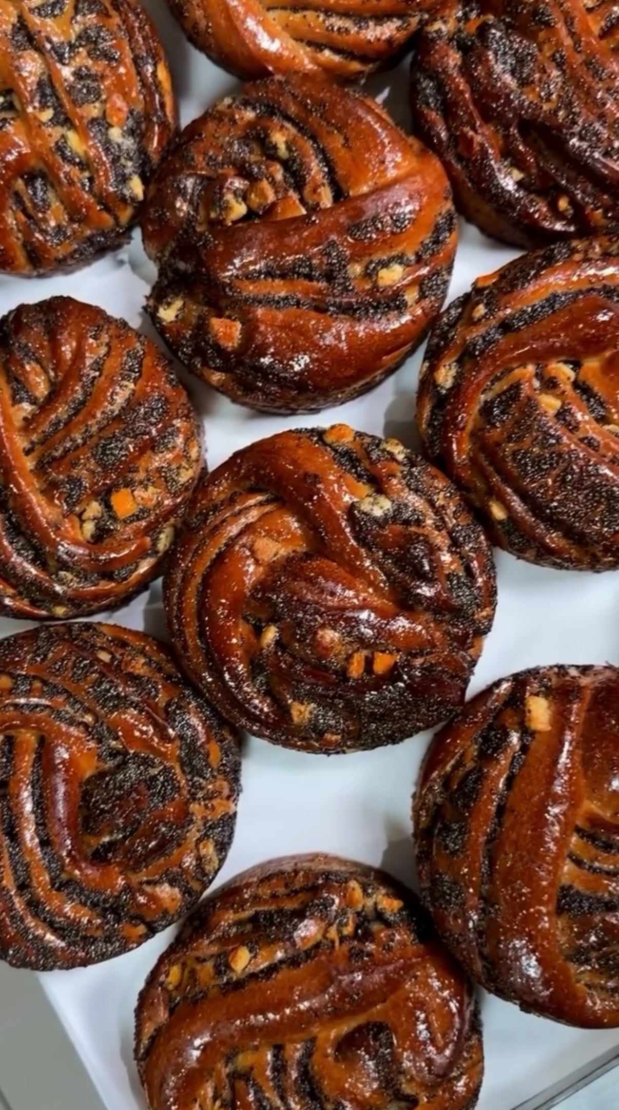 Poppy Seed & Candied Orange Buns