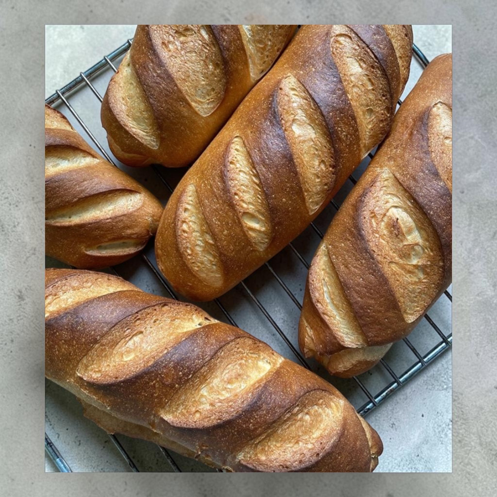 Baton Bread